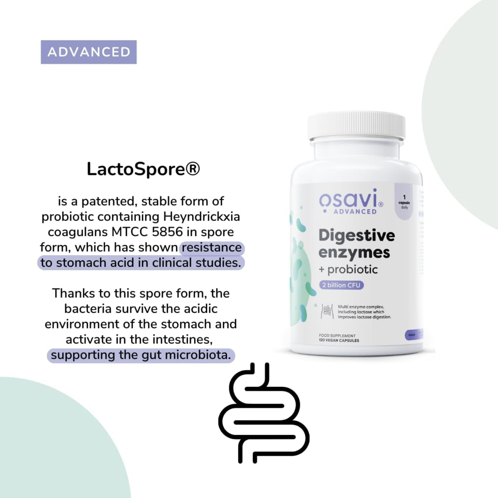 Osavi Digestive Enzymes + Probiotic 60 kapsula - Image 5